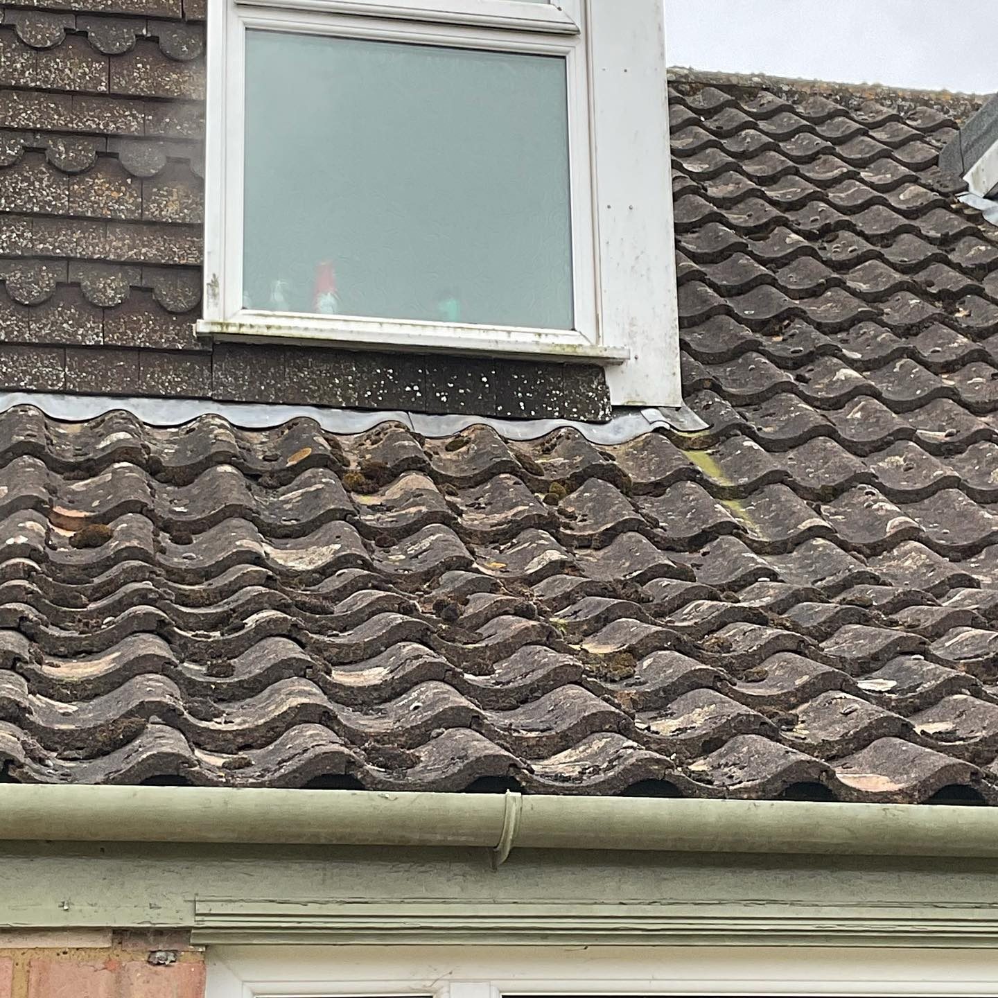 Moss growing on concrete roof tiles below a dormer window and gutter